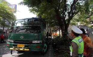 KECELAKAAN SOLO : Tersangkut Truk, Pohon Mahoni di Jl Juanda Tumbang