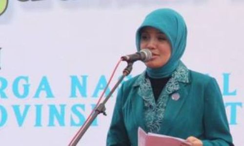 USAHA MIKRO KECIL DAN MENENGAH : Dekranasda Diinstruksikan Promosikan Produk UMKM