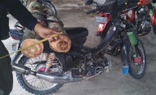 PENCURIAN NGAWI : Bawa 2 Batang Kayu Jati, Warga Bringin Digelandang Polisi