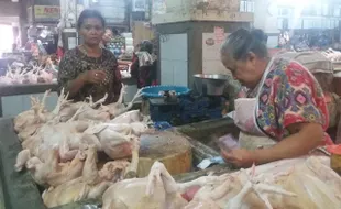 HARGA KEBUTUHAN POKOK : Daging Ayam di Ponorogo Rp30.000/kg, Harga Diprediksi Terus Naik