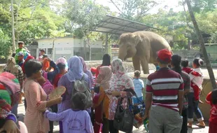 Anak-Anak Istimewa Diajak Belajar di Gembira Loka