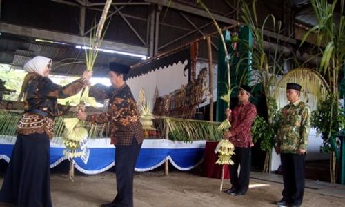 TRADISI SRAGEN : Ada Keanehan pada Ritual Giling Tebu di Pabrik Mojo, Ini Penjelasan Suhu Tebu