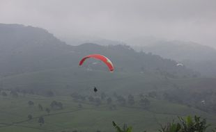 WISATA KARANGANYAR : Pesona Hijau Kebun Teh Kemuning dari Ketinggian Paralayang