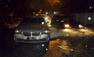 BANJIR SOLO : DPRD Desak Pemkot Keduk Walet