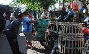 KEBUTUHAN POKOK BOYOLALI : Harga Ayam Kampung Stabil Tinggi