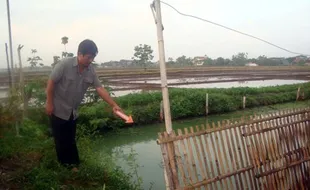 KECELAKAAN AIR SRAGEN : Pemuda Tewas Tenggelam di Kolam Ikan, Keluarga Minta Autopsi