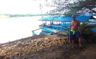 ABRASI PANTAI SELATAN : Jarak Pantai Semakin Dekat, Warga Panjatan Tidak Mau Pindah ke Luar Jawa