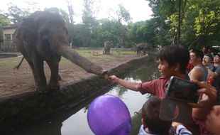 LIBUR LEBARAN 2016 : Wisatawan Gembira Loka Zoo pada Libur Lebaran Ini Tak Seramai Tahun Lalu