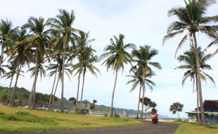 WISATA PACITAN : Inilah 11 Pantai yang Patut Dikunjungi Wisatawan