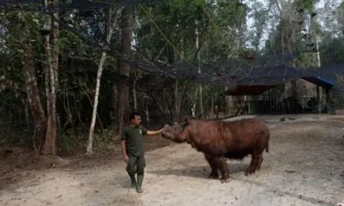 Way Kambas Resmi Jadi Taman Warisan ASEAN