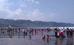 Pantai Parangtritis Sumbang Pendapatan Rp14 Miliar