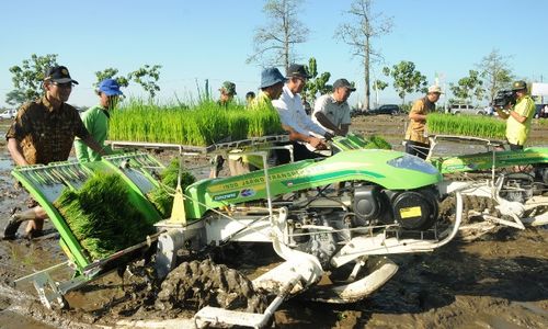 PERTANIAN BOYOLALI : Dibabat untuk Tanam Serentak, Petani Tunggu Ganti Rugi