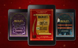 BUKU TERBARU : Pottermore Rilis E-Book Cerpen Hogwarts