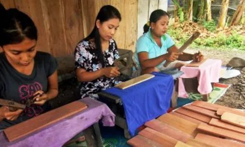 FOTO KERAJINAN DEMAK : Pemarut Kelapa Jateng dari Limbah Kayu