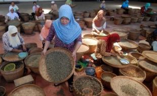 FOTO PERKEBUNAN JATENG : PTPN IX Perluas Pasar Kopi Semarang