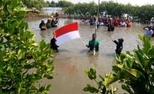 FOTO HUT RI : Proklamasi Diperingati di Hutan Mangrove