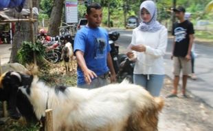 Bolehkah Kurban Kambing untuk Satu Keluarga? Ini Penjelasan Hukumnya