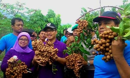 Ini Dia Desa-Desa Unggulan di Pengasih