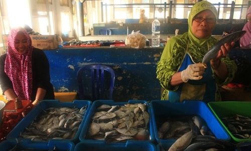 HARGA IKAN PACITAN : Cuaca Buruk, Harga Ikan di Pacitan Setiap Hari Naik