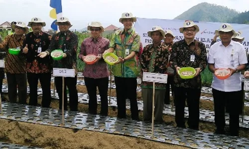 INFLASI JAWA TENGAH : Tekan Inflasi, BI KPW Jateng-DIY Bikin 8 Klaster Bawang Putih