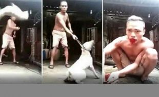 VIDEO KONTROVERSIAL : Sadis, Pria Ini Rekam Aksi Brutal Siksa Anjing