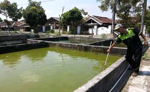 Siswa SD dan SMP di Gunungkidul akan Diberi Modal untuk Memelihara Ikan