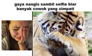 TRENDING SOSMED : Lucu! Harimau Ini Tirukan Gaya Selfie Perempuan