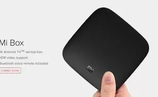 Belum Dirilis, Xiaomi Mi Box Kok Sudah Dijual?