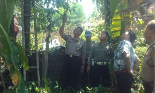 PENEMUAN MAYAT PONOROGO : Terjatuh Dari Pohon Melinjo, Petani Ponorogo Ini Tewas