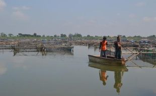 ASAL USUL : Cerita Makam di Tengah Waduk Mulur Sukoharjo