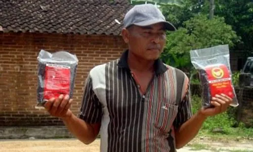 KISAH INSPIRATIF : Produksi Beras Hitam, Petani Sragen Ini Untung 3 Kali Lipat