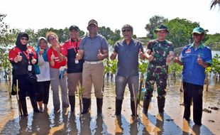 Foto Iwan Fals Tanam Pohon Bakau di Maron