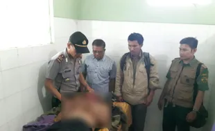 Beri Makan Kera, 2 Pengunjung Grojogan Sewu Tewas Tertimpa Dahan Pohon