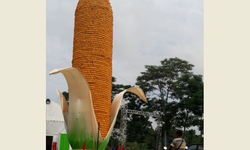 HARI PANGAN SEDUNIA : Menara Jagung dan Menu Serbajagung Masuk Muri