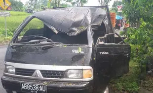 INFO TERKINI : Pohon Tumbang Timpa Warung, 2 Warga Terluka