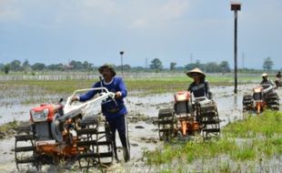 Joss! Mahasiswa UMS Sukoharjo Ini Bisa Kendalikan Traktor Pakai Smartphone