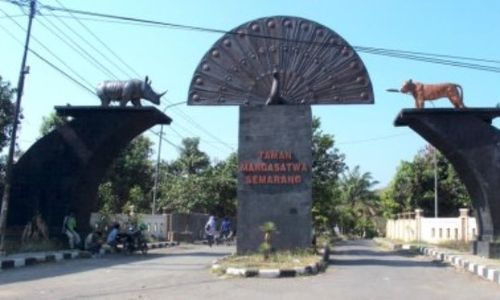 WISATA SEMARANG : Bonbin Mangkang Sulit Berkembang, Ini Sebabnya...