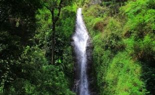 WISATA PONOROGO : Air Terjun Selorejo, Surga Tersembunyi di Perbatasan