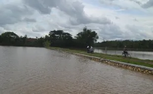 BANJIR SUKOHARJO : Hujan Deras, 225 Rumah dan 130 Ha Sawah di Weru Terendam