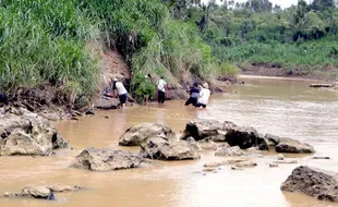 MANUSIA PURBA DI GUNUNGKIDUL : Tak Ditemukan Fosil Manusia Purba di Kali Oya, Lenyap atau Pindah?