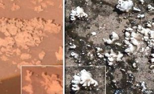 NASA Rahasiakan Tanda-Tanda Kehidupan di Planet Mars?