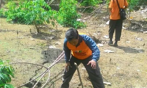 BENCANA WONOGIRI : Pergerakan Tanah Batuwarno Ancam 15 Bidang Lahan Pertanian