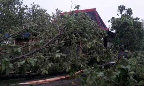 ANGIN KENCANG BOJONEGORO : 103 Rumah Rusak Diterjang Puting Beliung