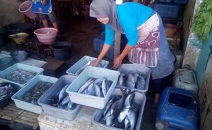 Harga Ikan Laut Naik Tajam