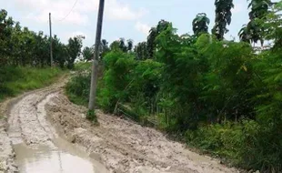 INFRASTRUKTUR GROBOGAN : Jalan Rusak di Grobogan Jadi Sorotan Netizen