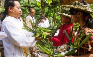 FOTO HARI NATAL 2016 : Begini Misa Natal Alam di Perkebunan