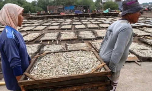 FOTO INFO BELANJA : Harga Ikan Asin di Demak Melonjak