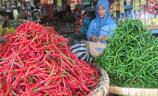 HARGA KEBUTUHAN POKOK : Harga Cabai Masih Tinggi, Kapan Turun?