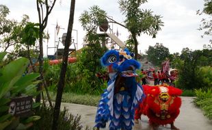 HARI RAYA IMLEK : Unik, Pertunjukan Barongsai di Kolam Renang