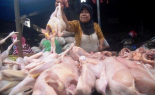 FOTO HARGA KEBUTUHAN POKOK : Sudah Sepekan, Harga Ayam Naik…